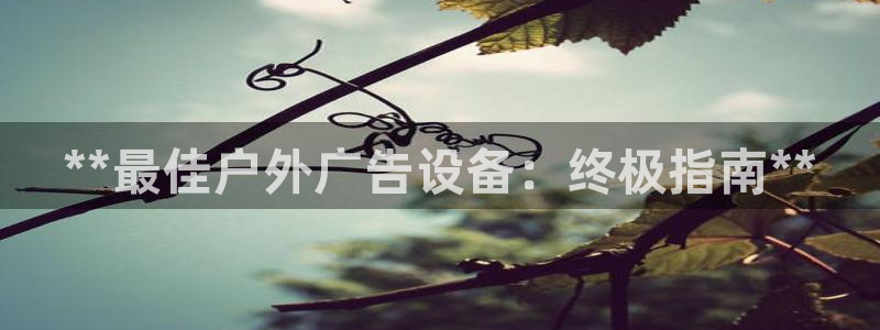 杏宇平台注册登录：**最佳户外广告设备：终极指南**