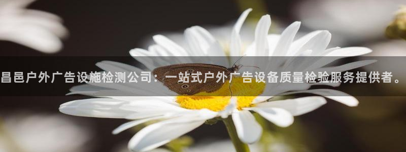 杏宇平台客服：昌邑户外广告设施检测公司：一站式户外广告设备质量检验服务提供者。