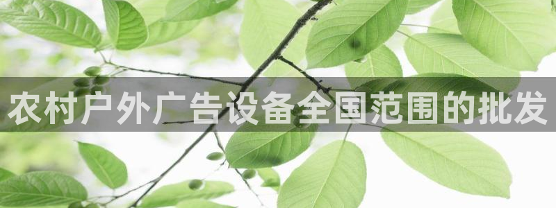 杏宇平台注册地址：农村户外广告设备全国范围的批发