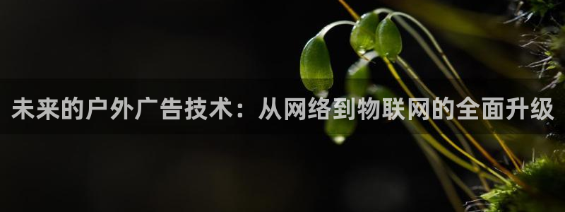 杏宇平台怎么样知乎：未来的户外广告技术：从网络到物联网的全面升级