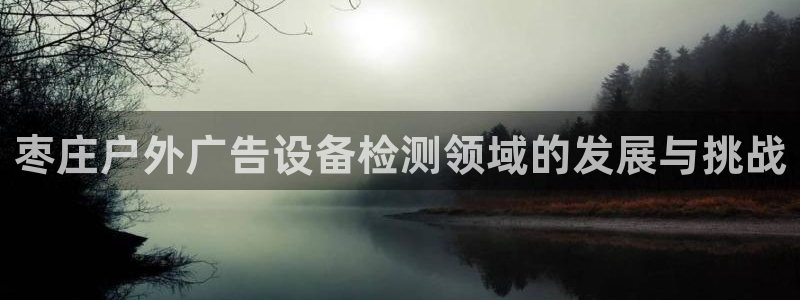 杏宇平台代理怎么样赚钱：枣庄户外广告设备检测领域的发展与挑战