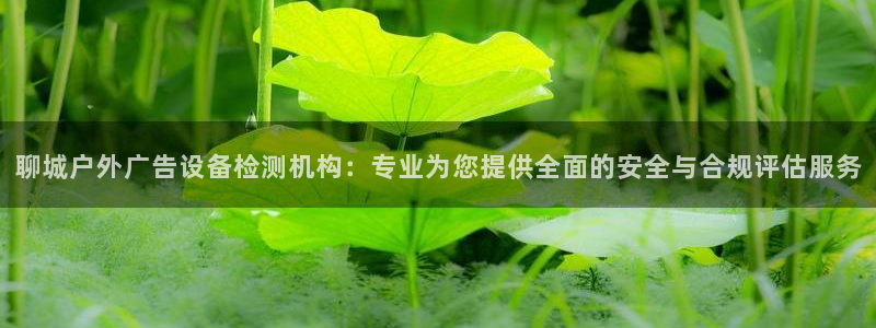 杏宇平台注册地址在哪里：聊城户外广告设备检测机构：专业为您提供全面的安全与合规评估服务