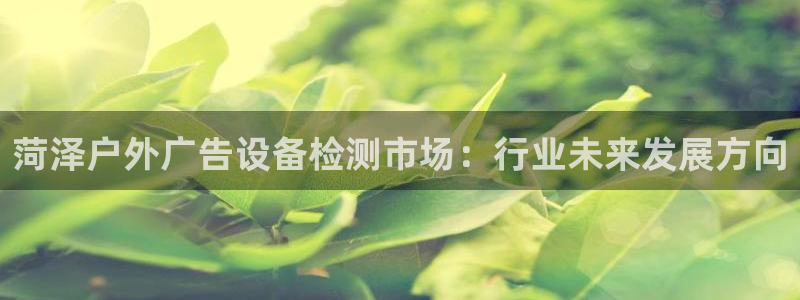杏宇平台提现为什么这么久呢：菏泽户外广告设备检测市场：行业未来发展方向