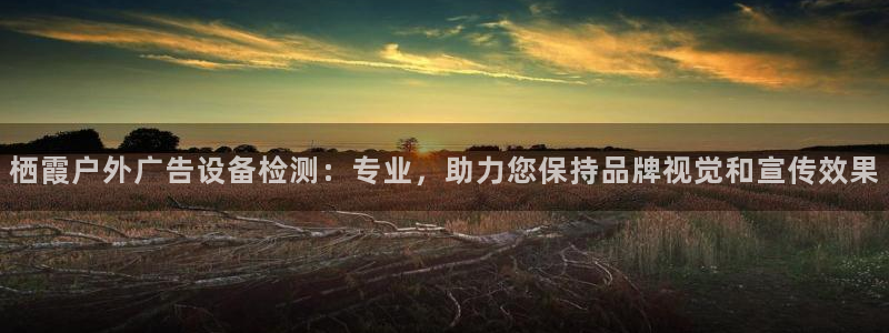 杏宇平台官网注册：栖霞户外广告设备检测：专业，助力您保持品牌视觉和宣传效果