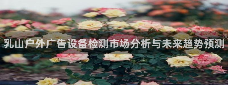 杏宇平台客服：乳山户外广告设备检测市场分析与未来趋势预测