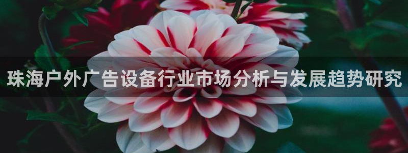 杏宇平台代理怎么样啊：珠海户外广告设备行业市场分析与发展趋势研究