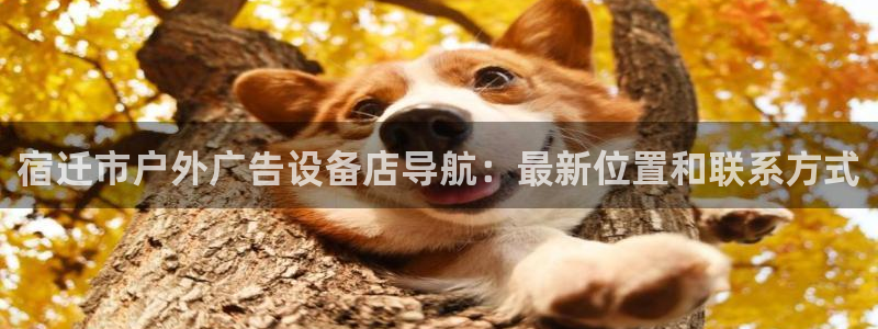 杏宇平台开户：宿迁市户外广告设备店导航：