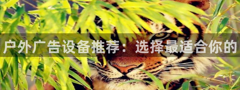 杏宇平台代理怎么样：户外广告设备推荐：选择最适合你的