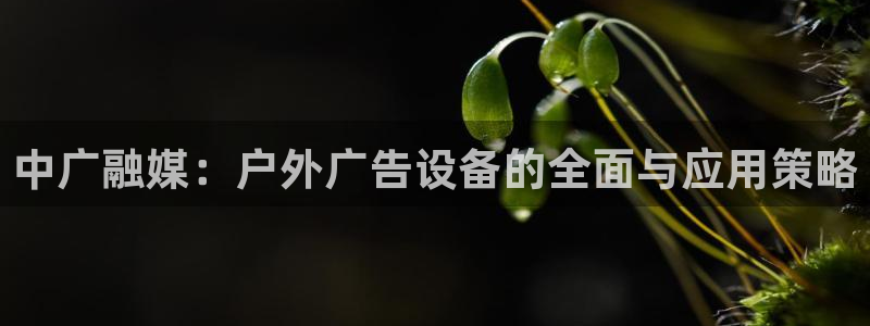 杏宇平台怎么样：中广融媒：户外广告设备的全面与应用策略