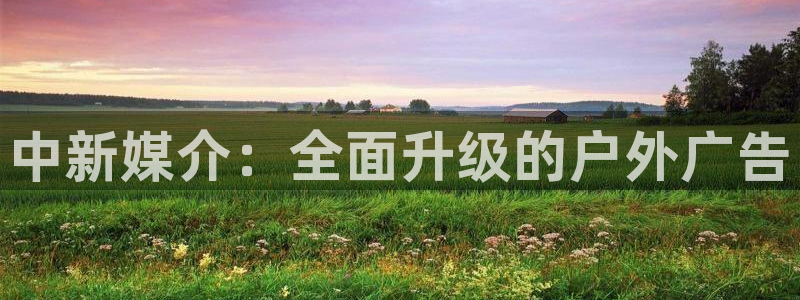 杏宇平台主管