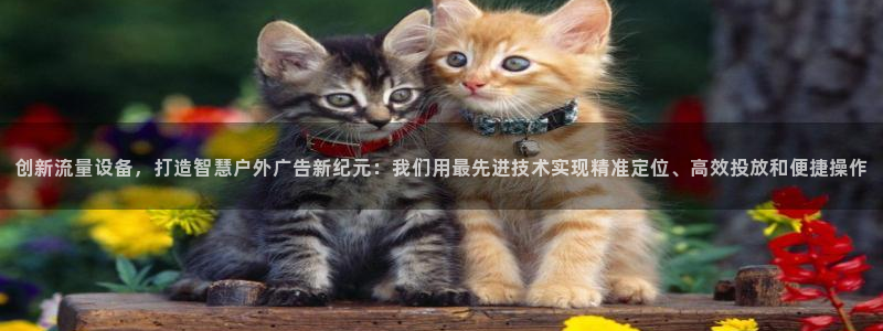 杏宇平台好吗：创新流量设备，打造智慧户外