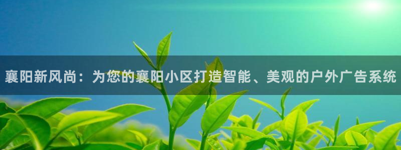 杏宇平台注册地址在哪里：襄阳新风尚：为您
