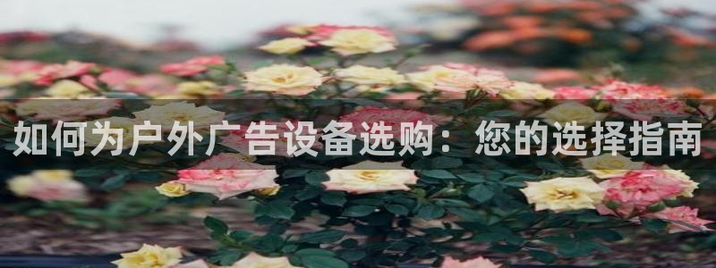 杏宇平台招商电话号码：如何为户外广告设备选购：您的选择指南