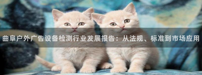 杏宇平台好吗：曲阜户外广告设备检测行业发展报告：从法规、标准到市场应用