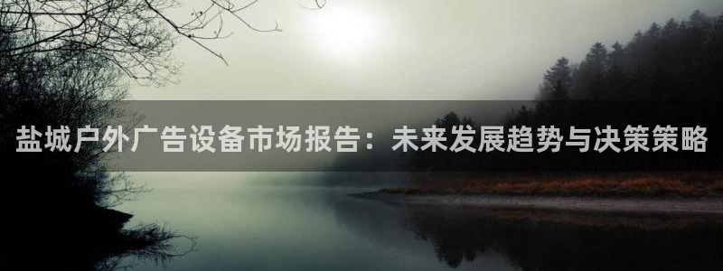 杏宇平台总代理是谁：盐城户外广告设备市场报告：未来发展趋势与决策策略