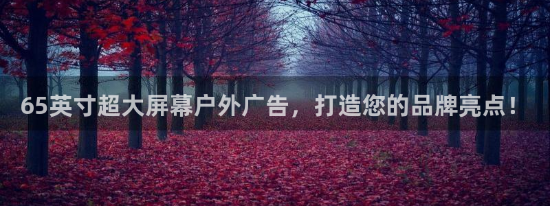 杏宇官方平台官网入口：65英寸超大屏幕户外广告，打造您的品牌亮点！