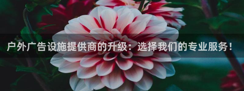 杏宇平台招商怎么样：户外广告设施提供商的升级：选择我们的专业服务！