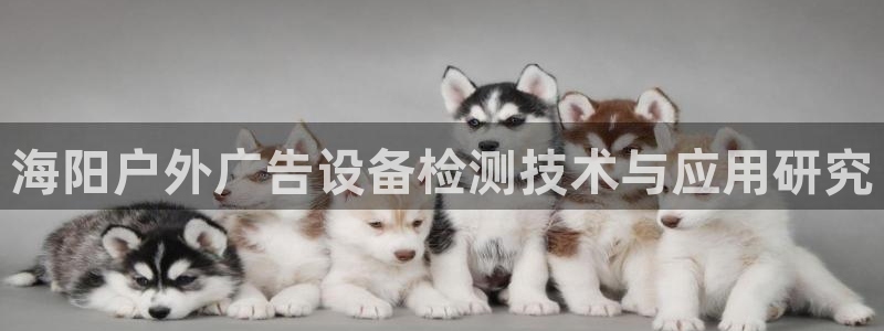 杏宇平台代理怎么样可靠吗
