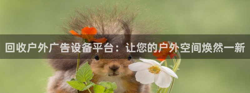 杏宇平台是什么：回收户外广告设备平台：让您的户外空间焕然一新