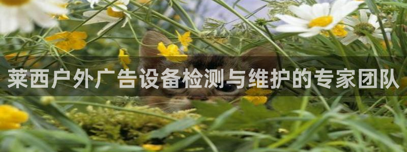 杏宇平台开户：莱西户外广告设备检测与维护的专家团队