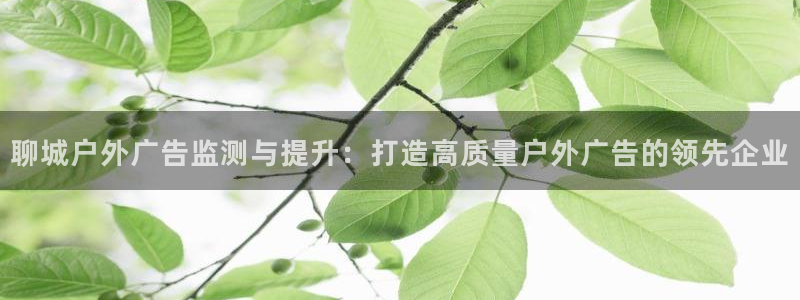 杏宇平台注册登录：聊城户外广告监测与提升：打造高质量户外广告的领先企业