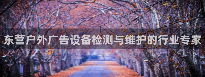杏宇平台代理多少钱一个月：东营户外广告设备检测与维护的行业专家