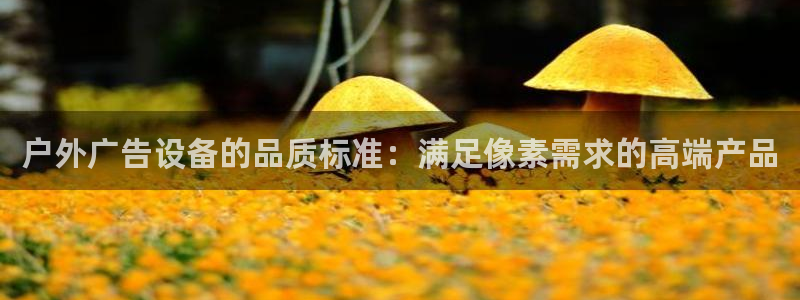 杏宇平台总代理：户外广告设备的品质标准：满足像素需求的高端产品
