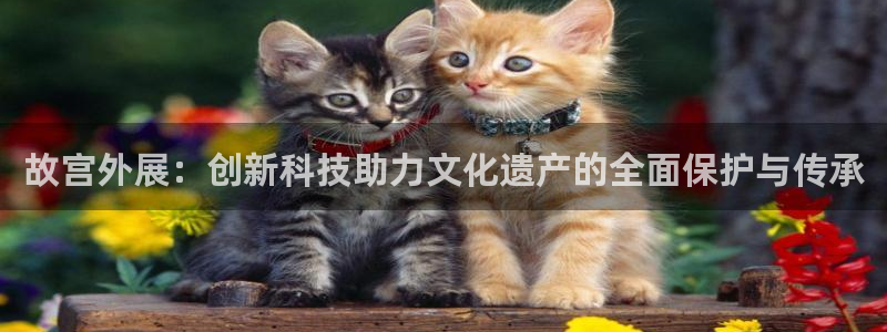 杏宇代理注册：故宫外展：创新科技助力文化