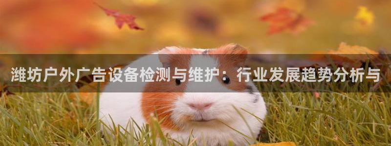 杏宇代理注册：潍坊户外广告设备检测与维护