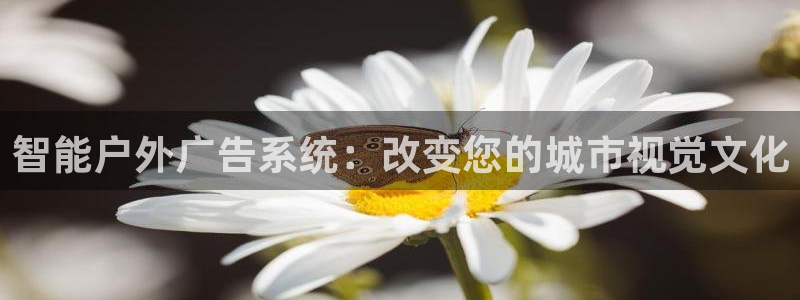 杏宇平台代理怎么样可靠吗：智能户外广告系
