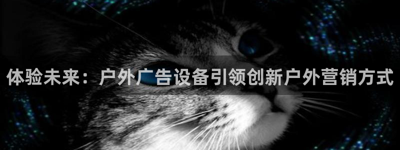 杏宇平台代理怎么赚钱：体验未来：户外广告