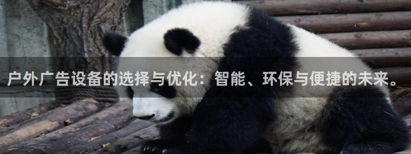 杏宇代理注册：户外广告设备的选择与优化：