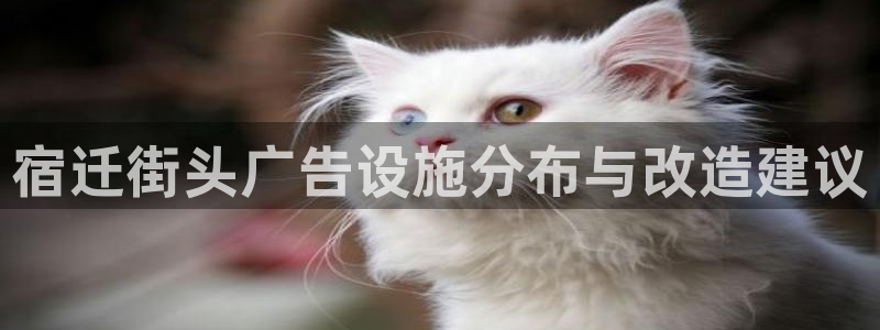 杏宇官方平台官网：宿迁街头广告设施分布与