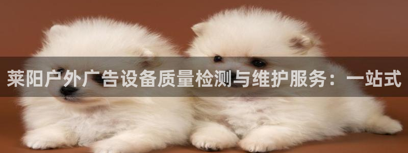杏宇代理注册：莱阳户外广告设备质量检测与