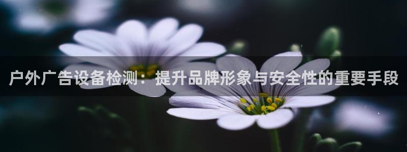 杏宇平台注册登录：户外广告设备检测：提升