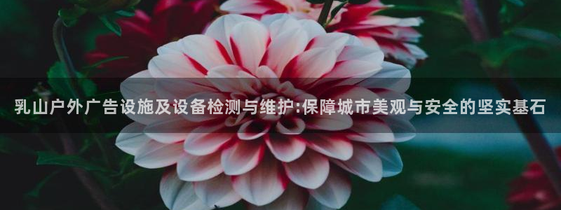 杏宇平台官网注册：乳山户外广告设施及设备检测与维护:保障城市美观与安全的坚实基石