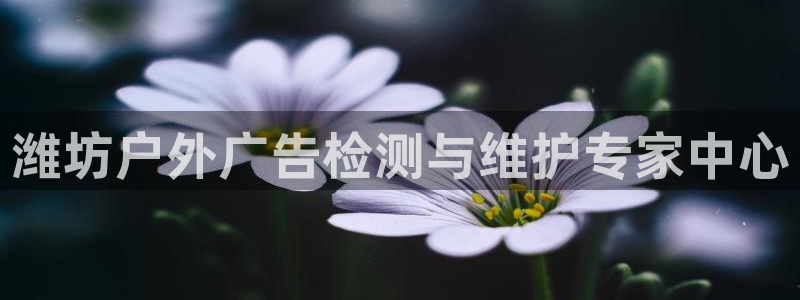 杏宇平台代理多少钱：潍坊户外广告检测与维护专家中心
