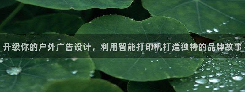 杏宇平台注册登录：升级你的户外广告设计，利用智能打印机打造独特的品牌故事