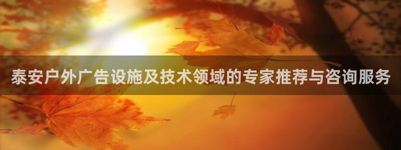 杏宇平台代理多少钱：泰安户外广告设施及技术领域的专家推荐与咨询服务