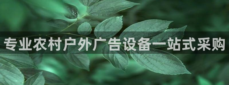 杏宇平台代理怎么赚钱的