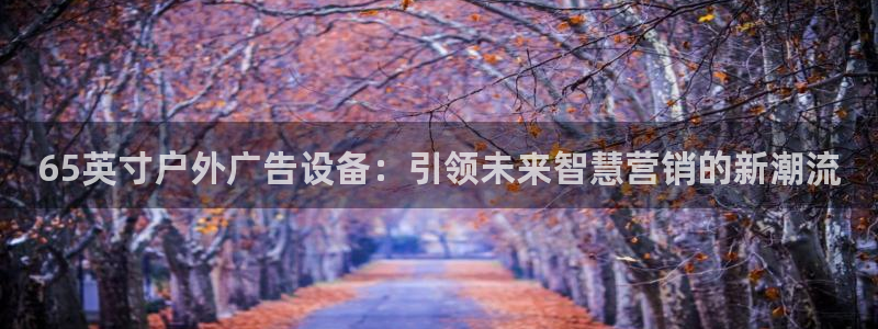 杏宇平台代理多少钱：65英寸户外广告设备：引领未来智慧营销的新潮流
