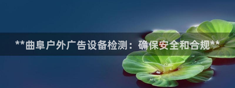 杏宇平台怎么样赚钱：**曲阜户外广告设备检测：确保安全和合规**