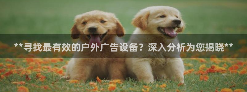 杏宇平台代理多少钱一个：**寻找最有效的户外广告设备？深入分析为您揭晓**