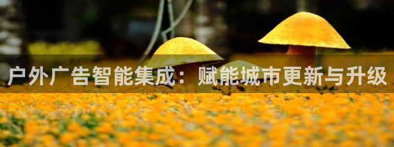 杏宇平台提现为什么这么久呢：户外广告智能