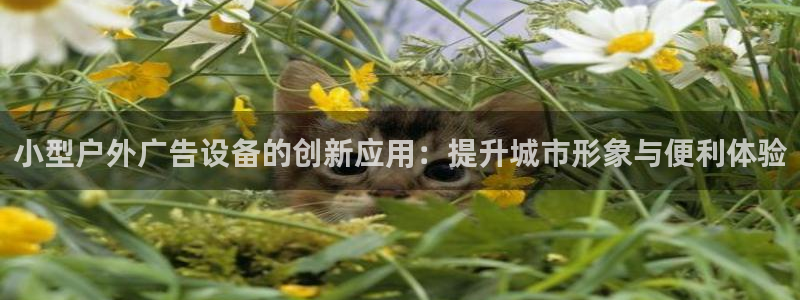 杏宇平台代理多少钱一个月：小型户外广告设