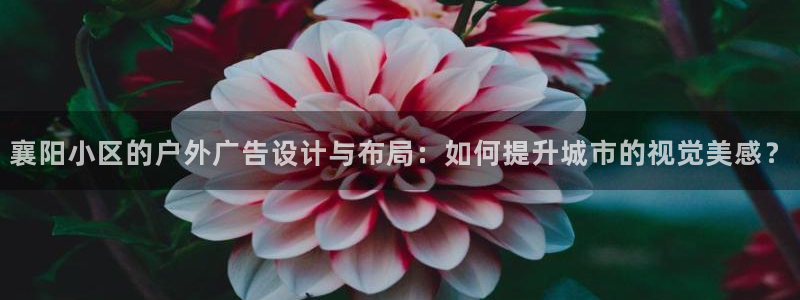 杏宇平台代理多少钱一个：襄阳小区的户外广