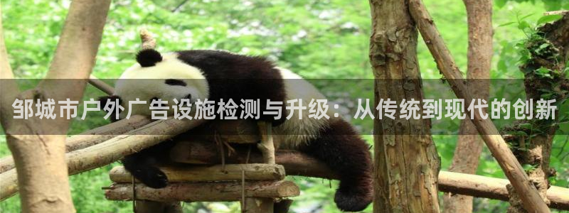 杏宇平台代理怎么样可靠吗：邹城市户外广告