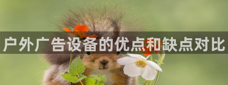 杏宇平台开户：户外广告设备的优点和缺点对