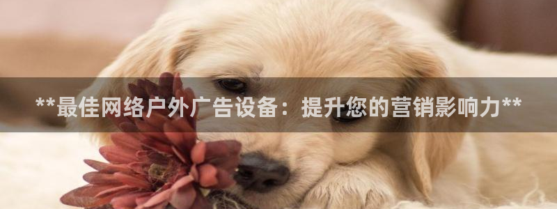 杏宇平台登录方法：**最佳网络户外广告设