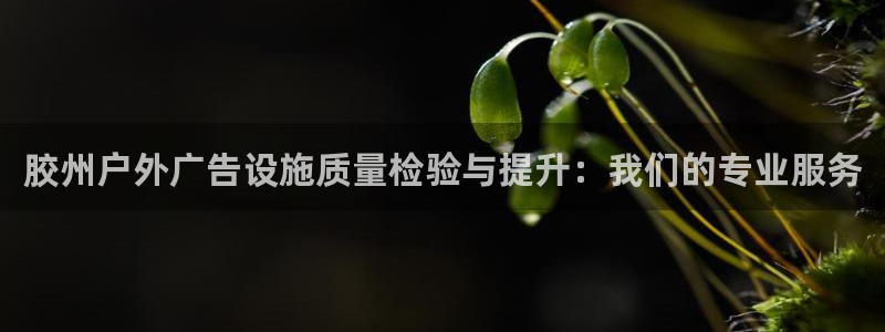 杏宇平台代理多少钱：胶州户外广告设施质量